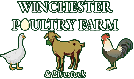 Winchester Poultry Farm