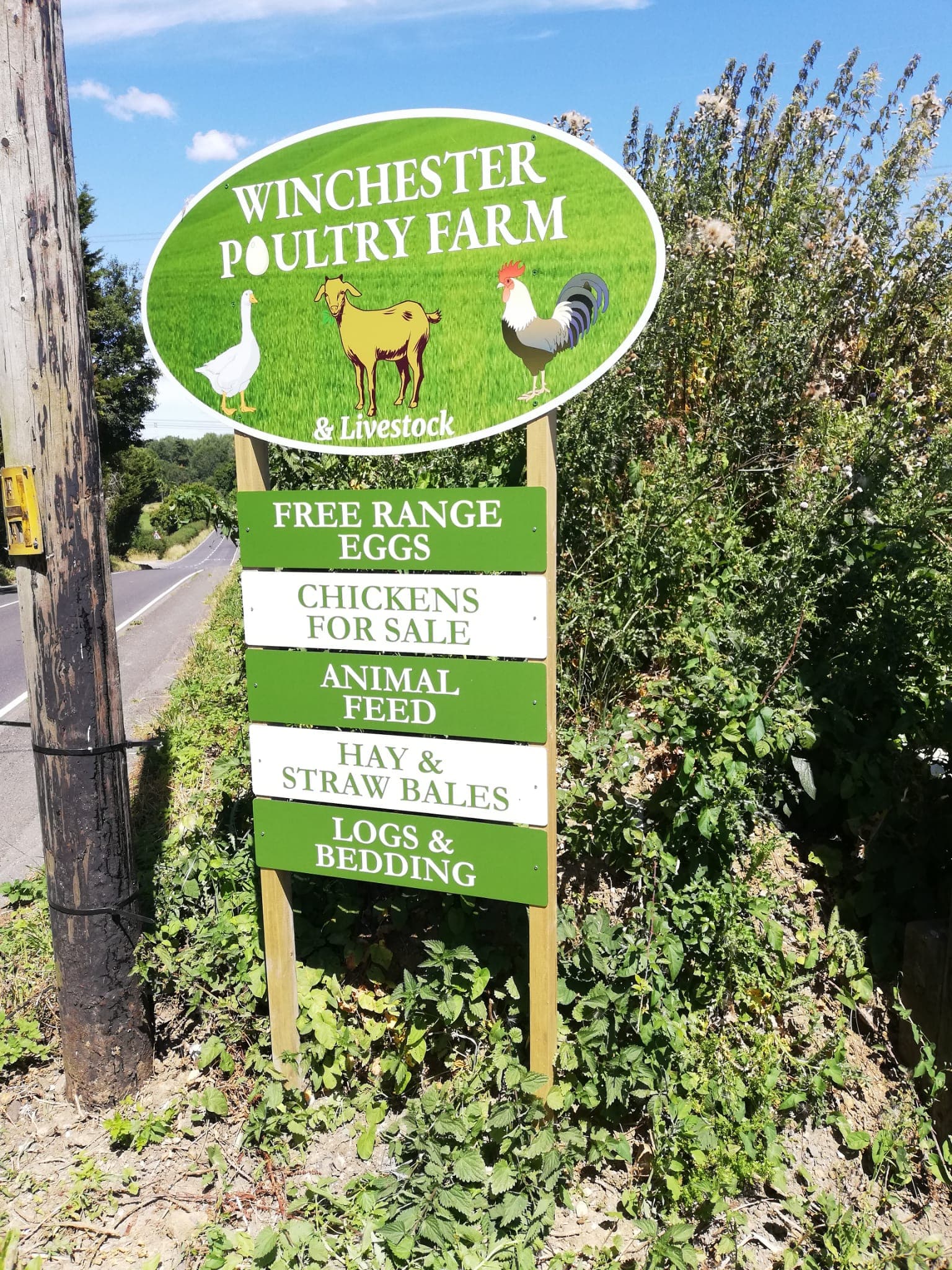 Home Winchester Poultry Livestock Chickens Poultry For Sale Winchester